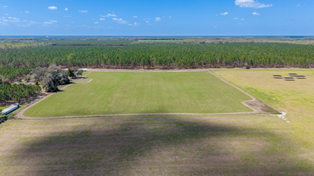 5-Acre Country Homestead, Cleared, Fenced, & Ready in McAlpin, FL - image 29