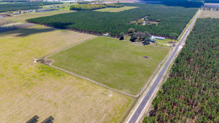 5-Acre Country Homestead, Cleared, Fenced, & Ready in McAlpin, FL - image 3