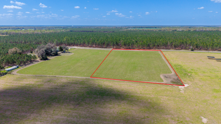 5-Acre Country Homestead, Cleared, Fenced, & Ready in McAlpin, FL - image 20