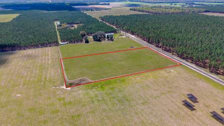 5-Acre Country Homestead, Cleared, Fenced, & Ready in McAlpin, FL - image 18