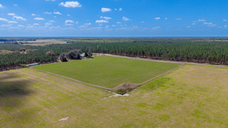 5-Acre Country Homestead, Cleared, Fenced, & Ready in McAlpin, FL - image 10