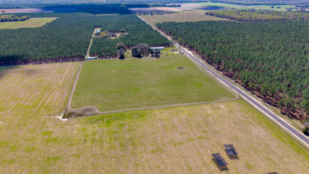 5-Acre Country Homestead, Cleared, Fenced, & Ready in McAlpin, FL - image 6