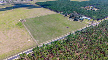 5-Acre Country Homestead, Cleared, Fenced, & Ready in McAlpin, FL - image 15