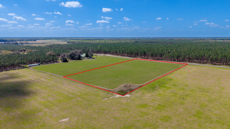 5-Acre Country Homestead, Cleared, Fenced, & Ready in McAlpin, FL - image 19