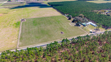 5-Acre Country Homestead, Cleared, Fenced, & Ready in McAlpin, FL - image 14