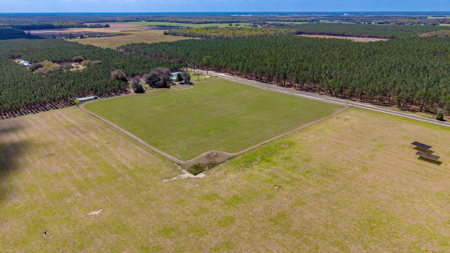 5-Acre Country Homestead, Cleared, Fenced, & Ready in McAlpin, FL - image 9