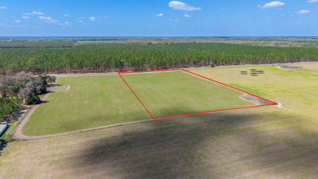 5-Acre Country Homestead, Cleared, Fenced, & Ready in McAlpin, FL - image 21