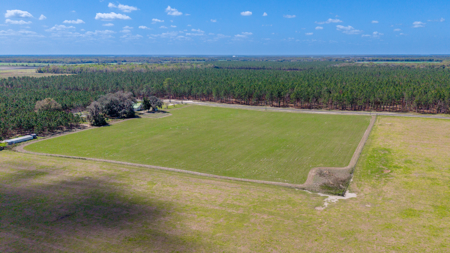 5-Acre Country Homestead, Cleared, Fenced, & Ready in McAlpin, FL - image 11