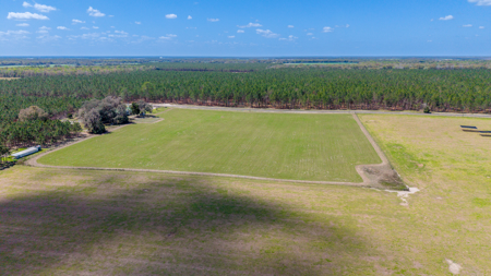 5-Acre Country Homestead, Cleared, Fenced, & Ready in McAlpin, FL - image 28