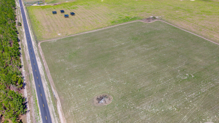 5-Acre Country Homestead, Cleared, Fenced, & Ready in McAlpin, FL - image 12