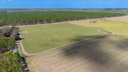 5-Acre Country Homestead, Cleared, Fenced, & Ready in McAlpin, FL - image 31