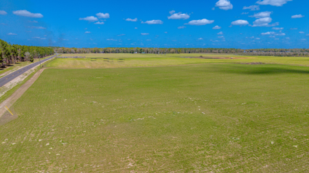 5-Acre Country Homestead, Cleared, Fenced, & Ready in McAlpin, FL - image 1