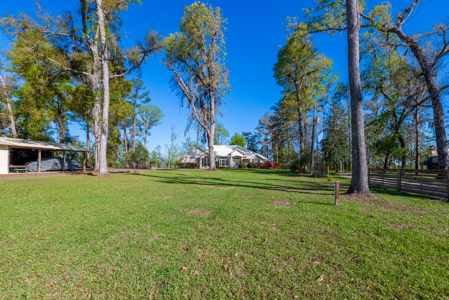 Riverfront Retreat 3BR Home on 2 Acres Along the Suwannee River - image 15