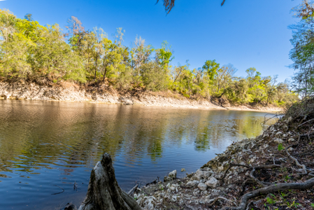 Riverfront Retreat 3BR Home on 2 Acres Along the Suwannee River - image 48