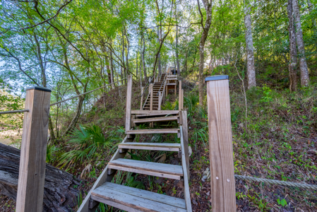 Riverfront Retreat 3BR Home on 2 Acres Along the Suwannee River - image 47