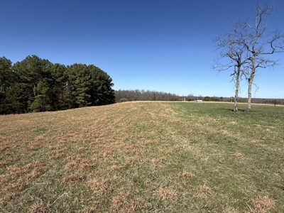 Home And Land For Sale In Arkansas - image 30