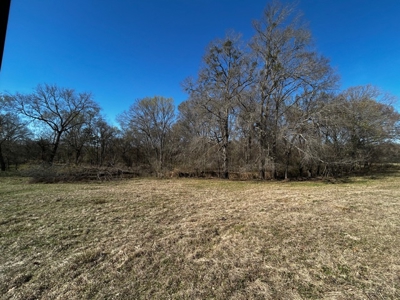 East Texas, Morris County, Ranch Land For Sale - image 21
