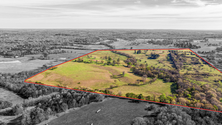 East Texas, Morris County, Ranch Land For Sale - image 14