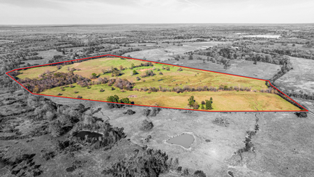 East Texas, Morris County, Ranch Land For Sale - image 10