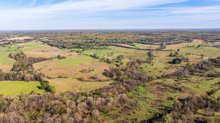 East Texas, Morris County, Ranch Land For Sale - image 11