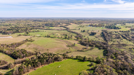East Texas, Morris County, Ranch Land For Sale - image 13