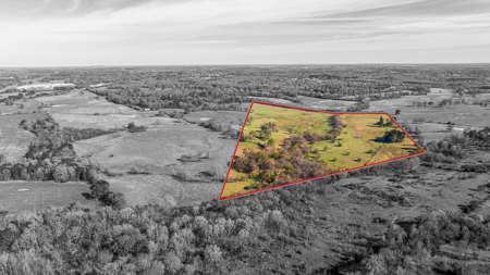 East Texas, Morris County, Ranch Land For Sale - image 12