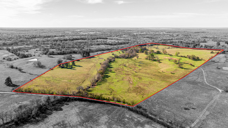 East Texas, Morris County, Ranch Land For Sale - image 4