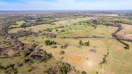 East Texas, Morris County, Ranch Land For Sale - image 9