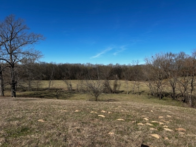East Texas, Morris County, Ranch Land For Sale - image 23