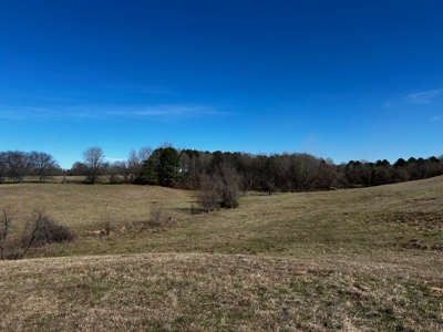 East Texas, Morris County, Ranch Land For Sale - image 25