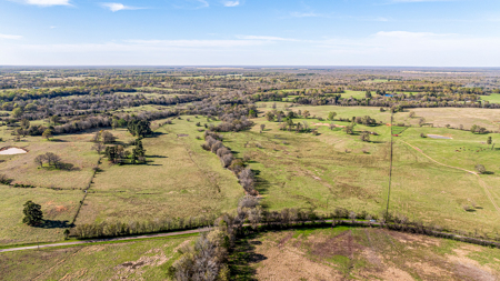 East Texas, Morris County, Ranch Land For Sale - image 5