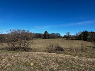 East Texas, Morris County, Ranch Land For Sale - image 24