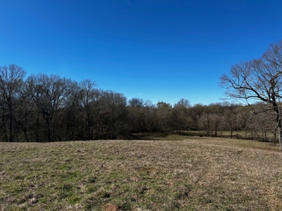 East Texas, Morris County, Ranch Land For Sale - image 22