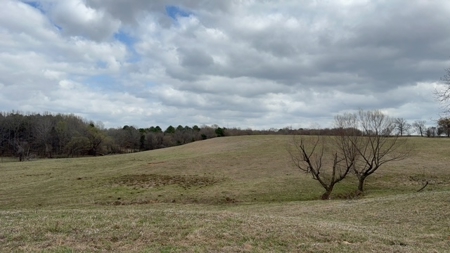 East Texas, Morris County, Ranch Land For Sale - image 19