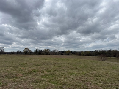 East Texas, Morris County, Ranch Land For Sale - image 18