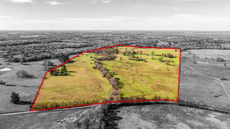 East Texas, Morris County, Ranch Land For Sale - image 6