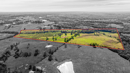 East Texas, Morris County, Ranch Land For Sale - image 2