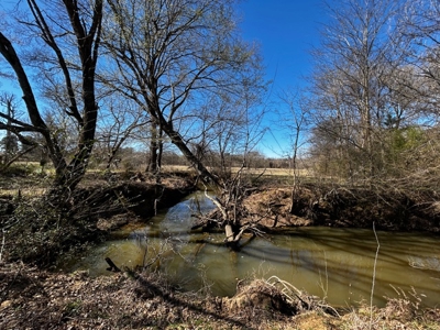 East Texas, Morris County, Ranch Land For Sale - image 20