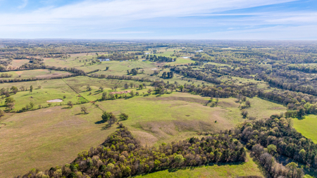 East Texas, Morris County, Ranch Land For Sale - image 15