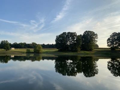 300 Acre+/- Private Estate For Sale In Tn, 2 Homes, Lake - image 32