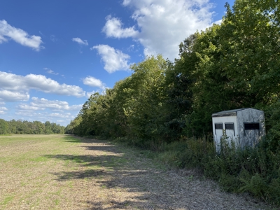 300 Acre+/- Private Estate For Sale In Tn, 2 Homes, Lake - image 47