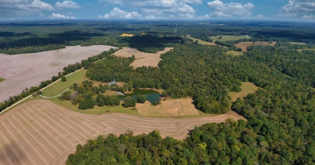 300 Acre+/- Private Estate For Sale In Tn, 2 Homes, Lake - image 6