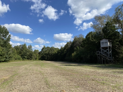 300 Acre+/- Private Estate For Sale In Tn, 2 Homes, Lake - image 7