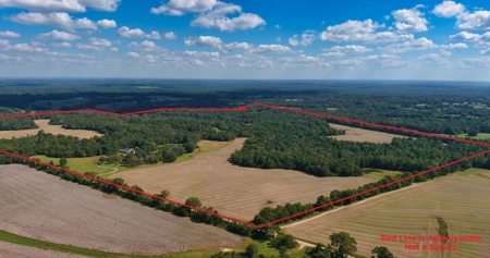 300 Acre+/- Private Estate For Sale In Tn, 2 Homes, Lake - image 1