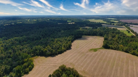 300 Acre+/- Private Estate For Sale In Tn, 2 Homes, Lake - image 44