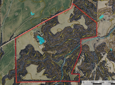 300 Acre+/- Private Estate For Sale In Tn, 2 Homes, Lake - image 49