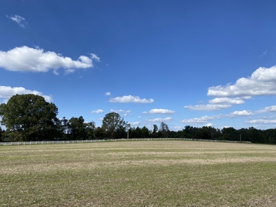 300 Acre+/- Private Estate For Sale In Tn, 2 Homes, Lake - image 45