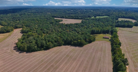 300 Acre+/- Private Estate For Sale In Tn, 2 Homes, Lake - image 34