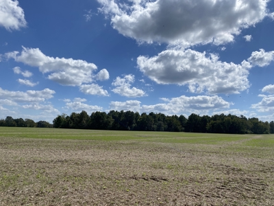 300 Acre+/- Private Estate For Sale In Tn, 2 Homes, Lake - image 46