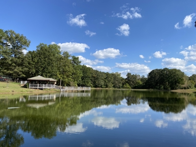 300 Acre+/- Private Estate For Sale In Tn, 2 Homes, Lake - image 28
